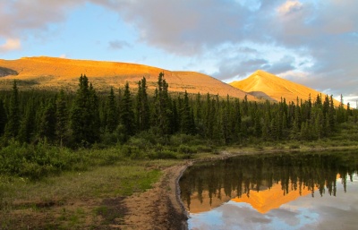 Palmer Lake